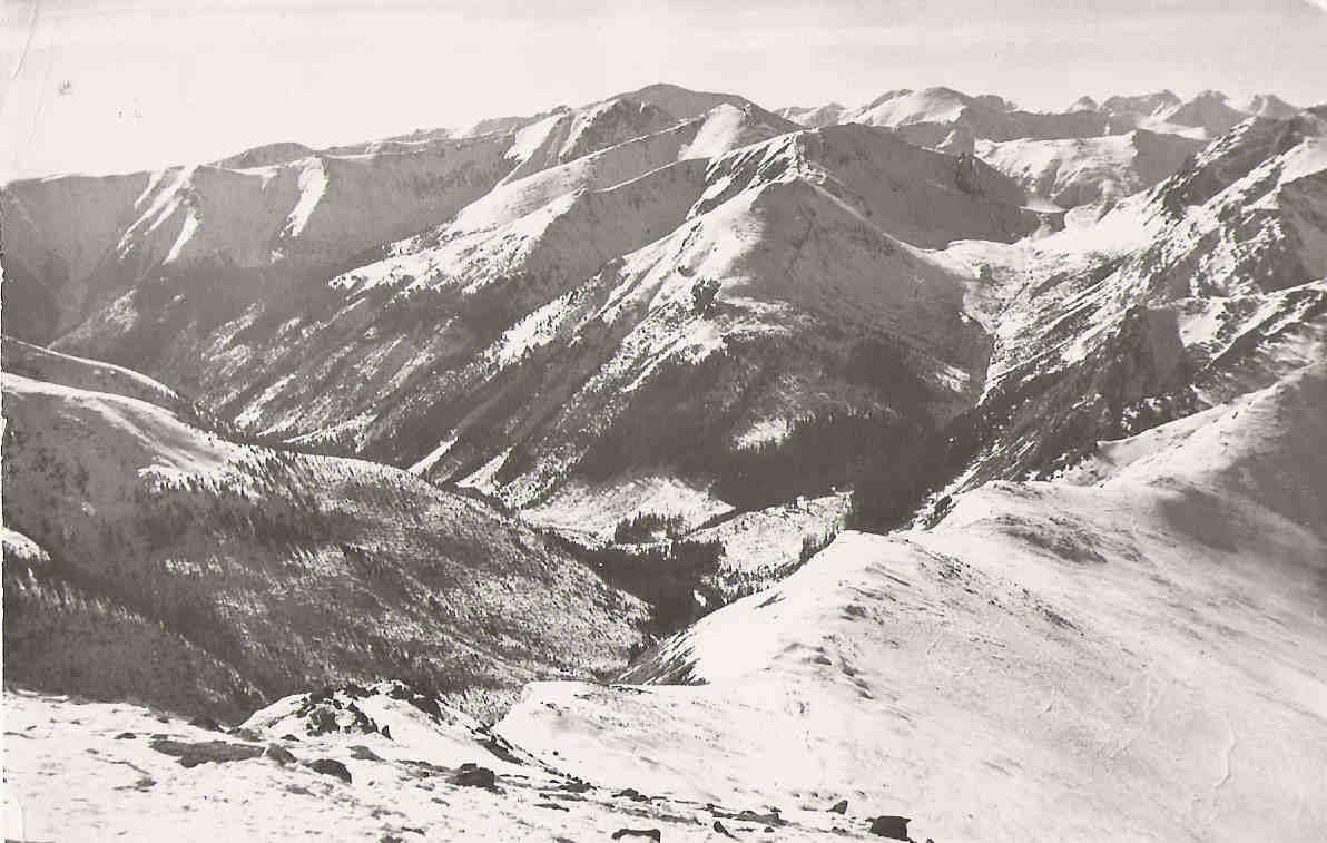 Tatra