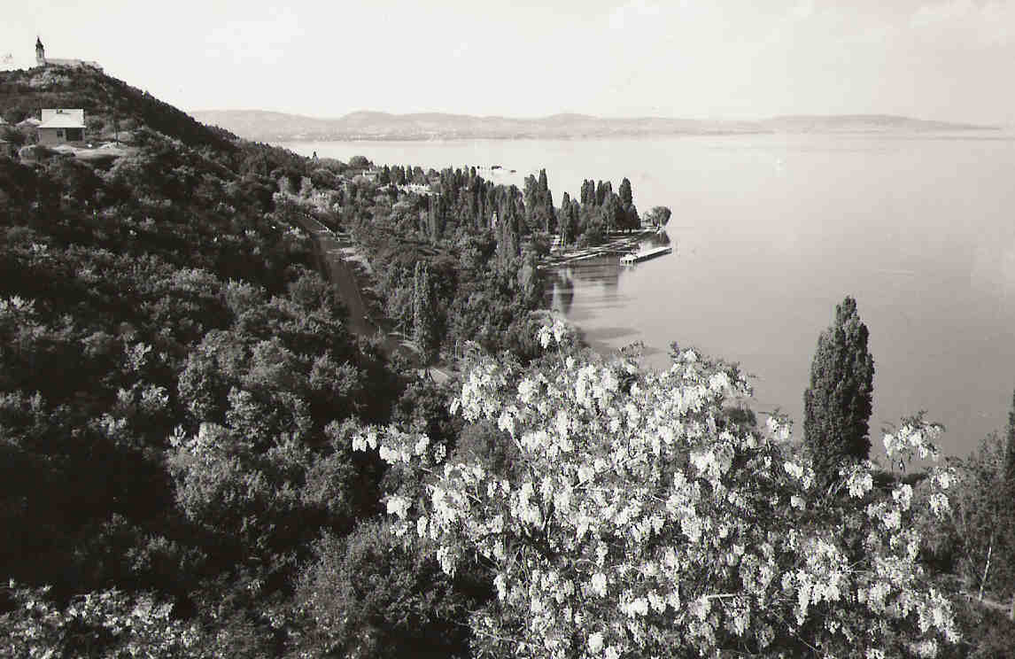 Plattensee